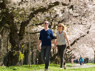 Hagley Park and Gardens